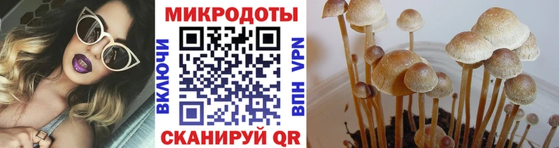 Псилоцибиновые грибы ЛСД  Усть-Илимск 